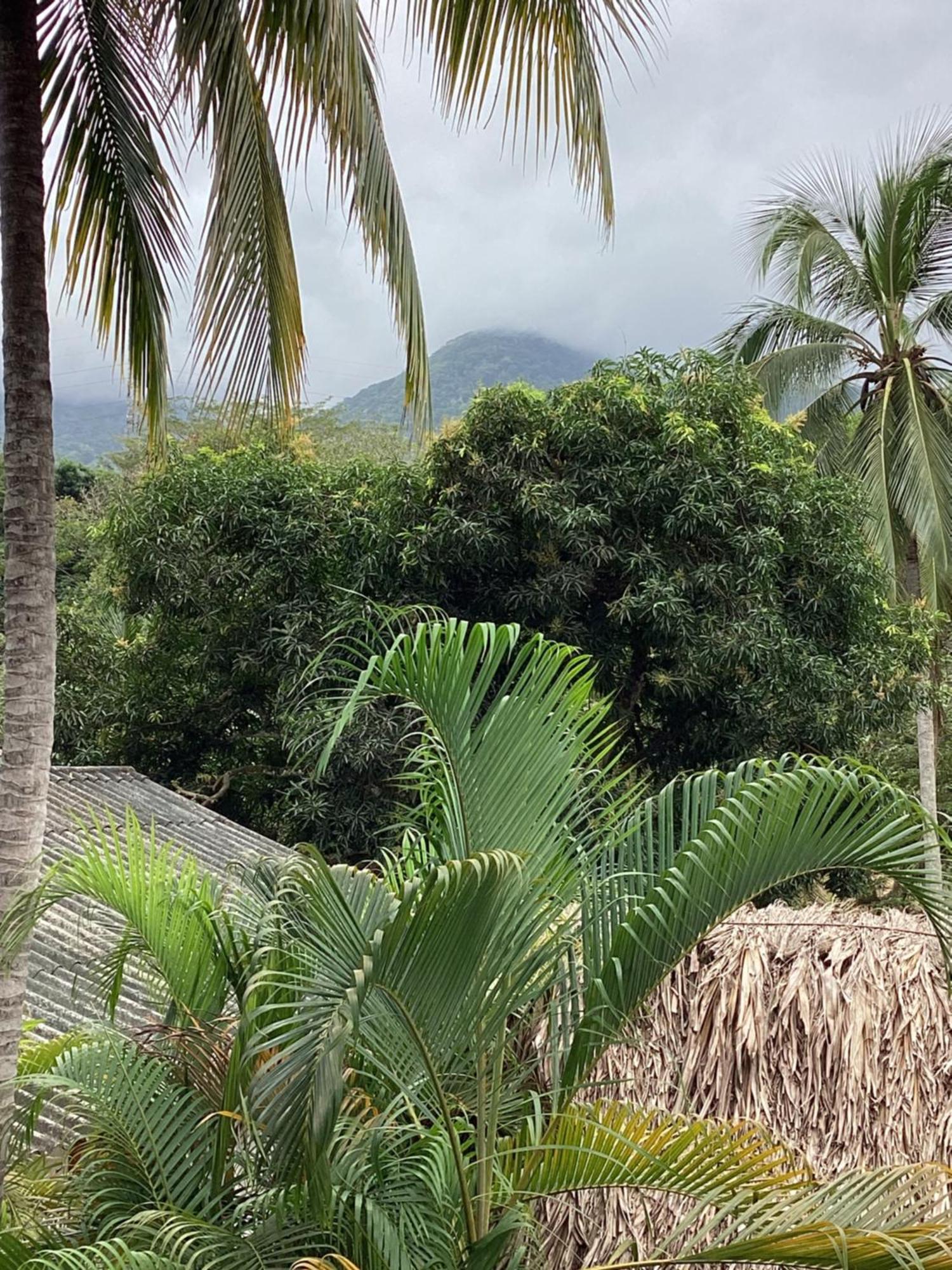 Hostal Antawara Tayrona Zaino Kültér fotó